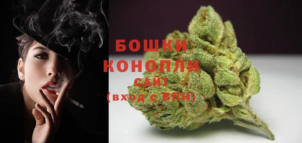 Альфа ПВП Гусев