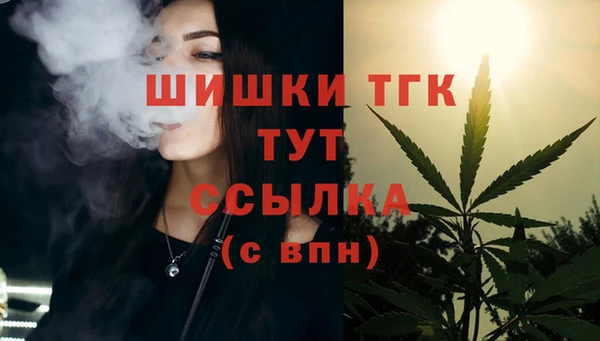 шишки Горнозаводск