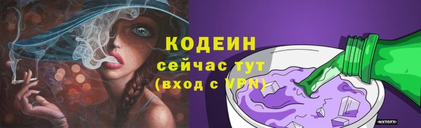 Альфа ПВП Гусев