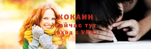 шишки Горнозаводск