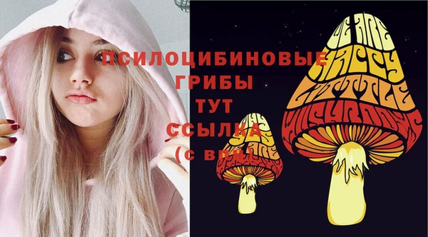 шишки Горнозаводск