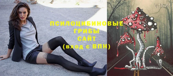 спайс Гусиноозёрск