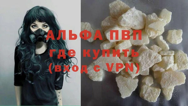 Альфа ПВП Гусев