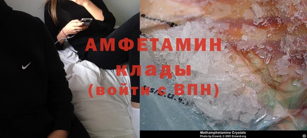 твердый Вяземский