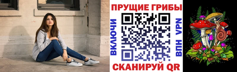 магазин продажи   Новочеркасск  Галлюциногенные грибы GOLDEN TEACHER 